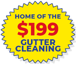 Special Offer special_2
